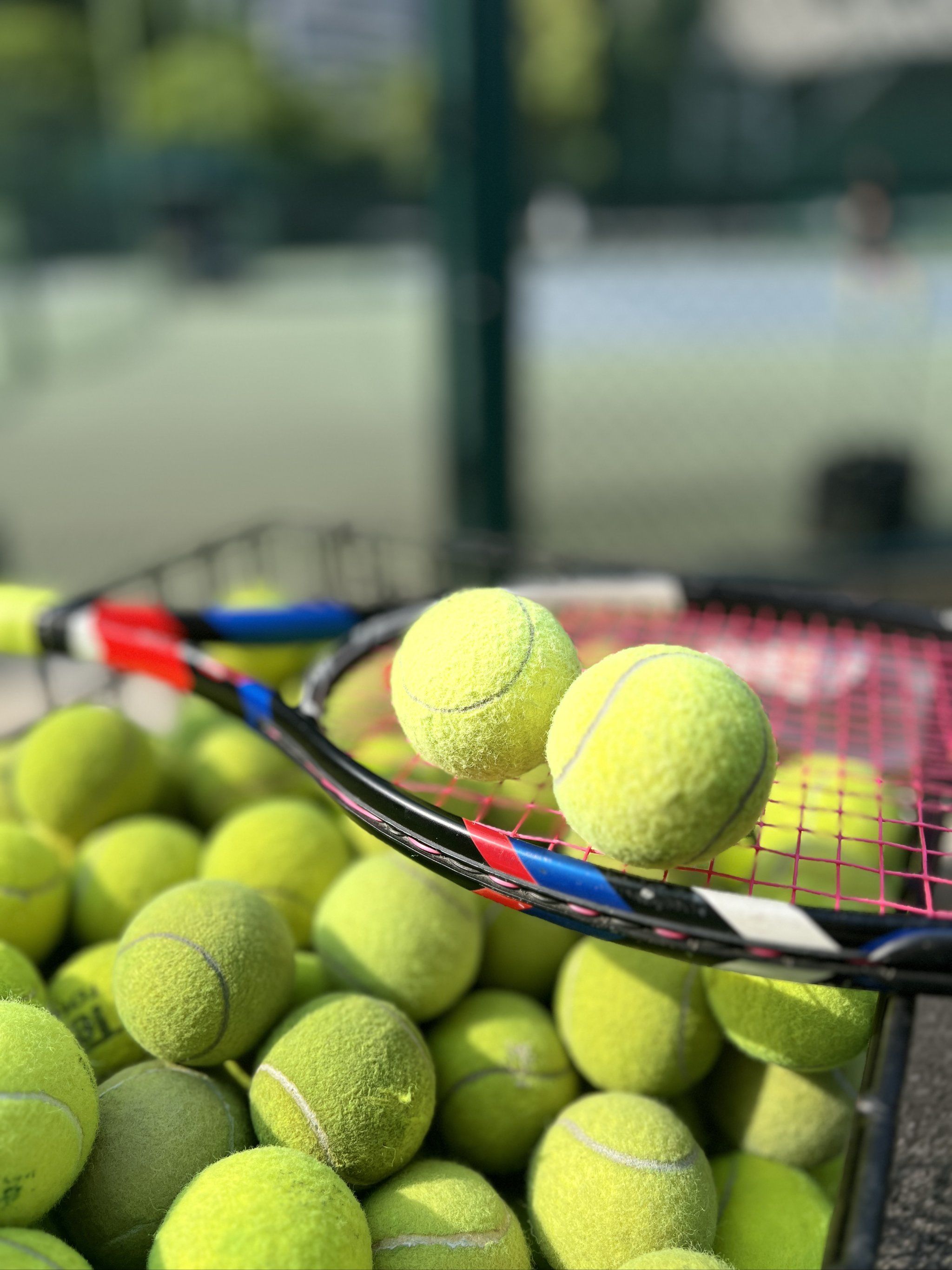 租借期一年 租借期一年